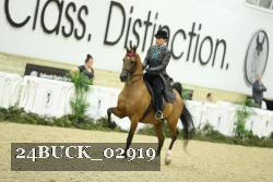 24BUCK_02919 thumbnail