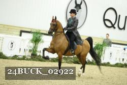 24BUCK_02922 thumbnail