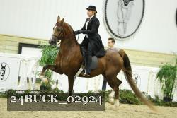 24BUCK_02924 thumbnail