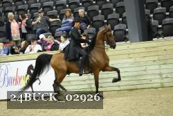 24BUCK_02926 thumbnail