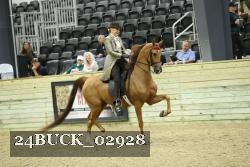 24BUCK_02928 thumbnail