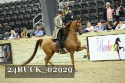 24BUCK_02929 thumbnail