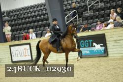 24BUCK_02930 thumbnail