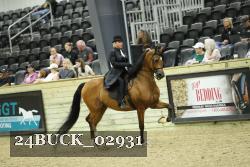 24BUCK_02931 thumbnail