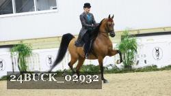 24BUCK_02932 thumbnail