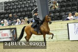 24BUCK_02933 thumbnail