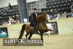 24BUCK_02934 thumbnail