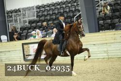 24BUCK_02935 thumbnail