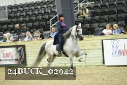 24BUCK_02942 thumbnail