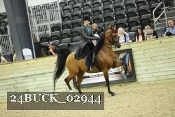 24BUCK_02944 thumbnail