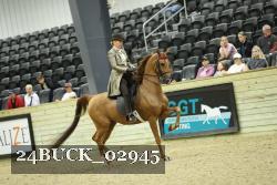 24BUCK_02945 thumbnail