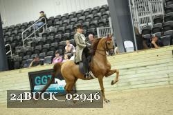 24BUCK_02946 thumbnail