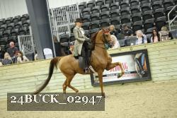24BUCK_02947 thumbnail