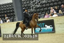 24BUCK_02948 thumbnail