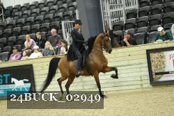 24BUCK_02949 thumbnail