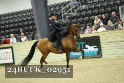 24BUCK_02951 thumbnail