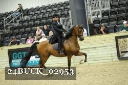 24BUCK_02953 thumbnail