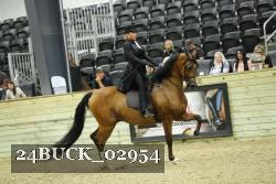 24BUCK_02954 thumbnail