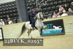 24BUCK_02957 thumbnail