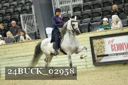 24BUCK_02958 thumbnail