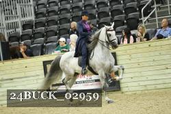 24BUCK_02959 thumbnail