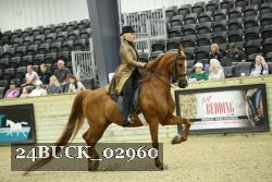 24BUCK_02960 thumbnail