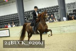 24BUCK_02961 thumbnail