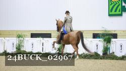 24BUCK_02967 thumbnail