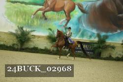 24BUCK_02968 thumbnail