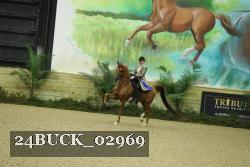 24BUCK_02969 thumbnail