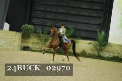 24BUCK_02970 thumbnail