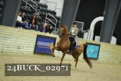 24BUCK_02971 thumbnail