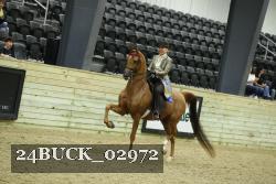 24BUCK_02972 thumbnail