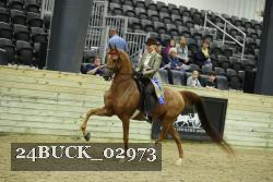 24BUCK_02973 thumbnail