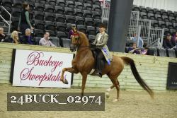 24BUCK_02974 thumbnail