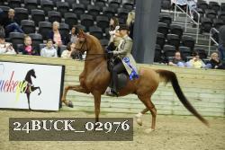 24BUCK_02976 thumbnail