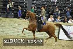 24BUCK_02978 thumbnail