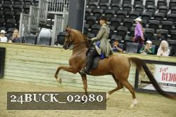 24BUCK_02980 thumbnail