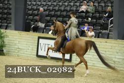 24BUCK_02982 thumbnail