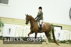 24BUCK_02995 thumbnail
