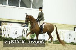 24BUCK_02996 thumbnail