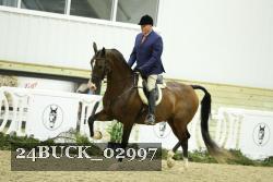24BUCK_02997 thumbnail