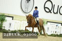 24BUCK_03000 thumbnail