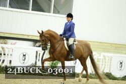 24BUCK_03001 thumbnail
