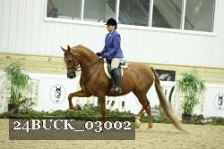 24BUCK_03002 thumbnail