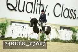 24BUCK_03003 thumbnail