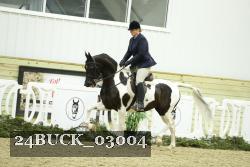 24BUCK_03004 thumbnail