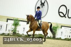 24BUCK_03005 thumbnail