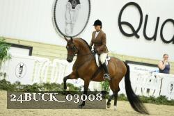 24BUCK_03008 thumbnail