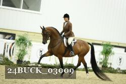 24BUCK_03009 thumbnail